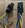 IMG_2189.jpeg