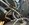 IMG_2190.jpeg
