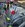 IMG_2203.jpeg