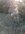PXL_20241203_205851936.MP.jpg