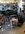 IMG_9412.jpeg
