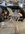 IMG_9420.jpeg