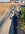 IMG_8421.jpeg