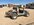 IMG_6591.JPG IMG_6591.JPG