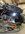IMG_9435.jpeg