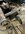 IMG_9437.jpeg