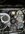 IMG_1880.jpeg