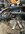 IMG_9446.jpeg