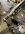 IMG_9453.jpeg