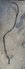 IMG_5470.jpeg