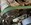IMG_5471.jpeg