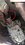 IMG_0095.jpeg