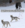 1734476192338.png