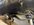 IMG_9466.jpeg