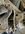 IMG_9472.jpeg