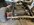 IMG_9480.jpeg
