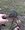 IMG_0207.jpeg