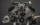 1734720405031.png