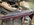 IMG_9495.jpeg