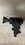 IMG_7428.jpeg