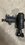 IMG_7429.jpeg