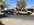 IMG_1974.jpeg