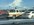 IMG_8816.jpeg