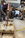 IMG_2410.jpeg