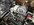 IMG_3198.jpeg