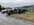 IMG_8125.jpeg