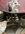 IMG_9516.jpeg