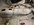 IMG_9513.jpeg