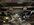 IMG_9522.jpeg