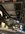 IMG_9523.jpeg