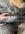 IMG_6376.jpeg