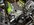IMG_3215.jpeg