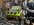 IMG_3220.jpeg
