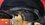 98A7629B-7E1F-476C-B3A4-187073B219F5.jpeg