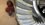 B38871EE-171D-42AC-B5AE-54AA46B0054B.jpeg