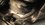 AEE1ED36-1022-4B9C-9007-F6B7E0B080E6.jpeg