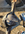 1735484805794.png