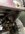 IMG_9524.jpeg