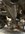 IMG_9525.jpeg