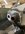 IMG_9531.jpeg