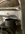 IMG_9533.jpeg
