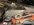 IMG_9534.jpeg