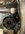 IMG_9538.jpeg