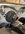 IMG_9540.jpeg