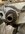 IMG_9541.jpeg