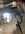 IMG_9543.jpeg